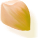 yellow-2